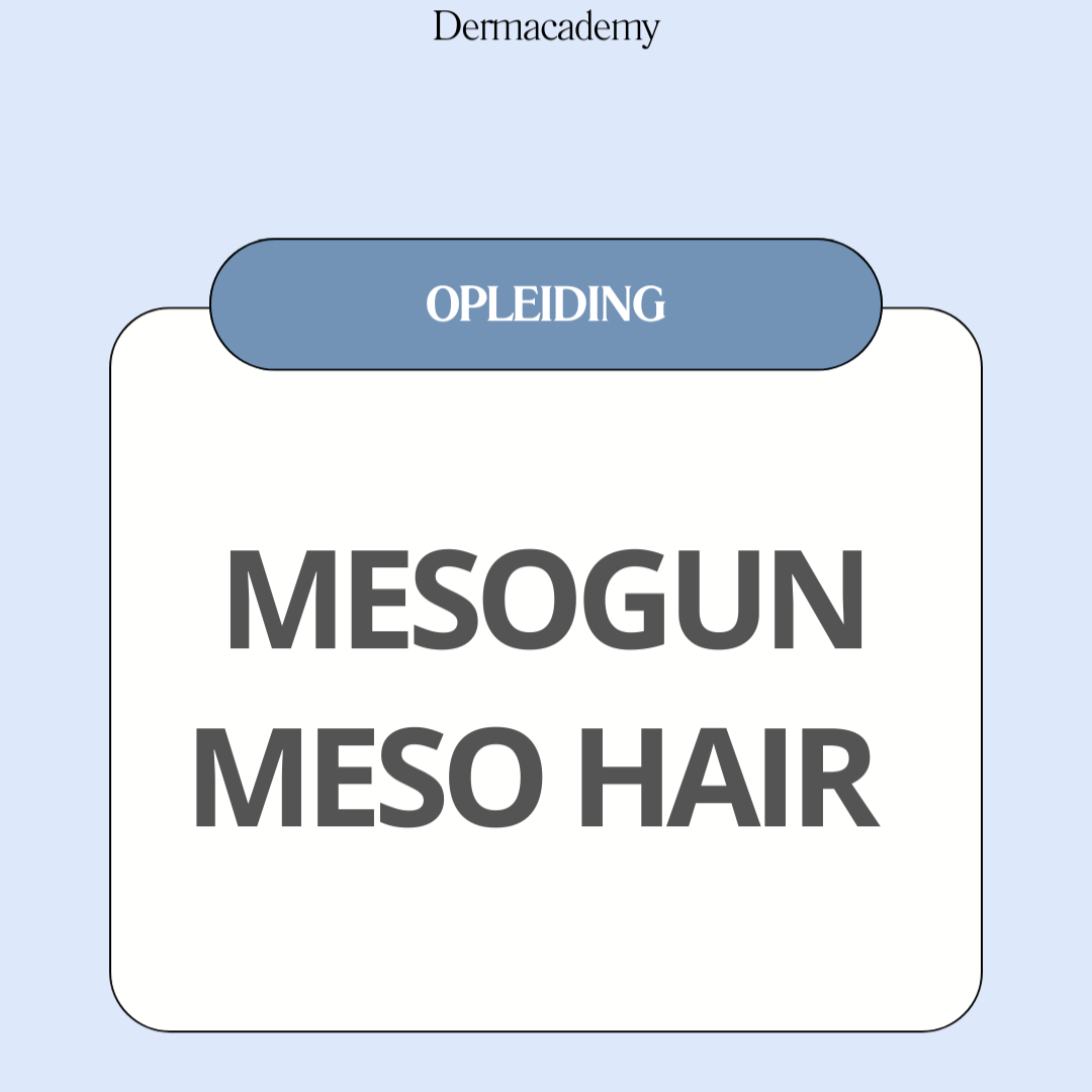 Meso Haar Privé Cursus ( 1 dag )